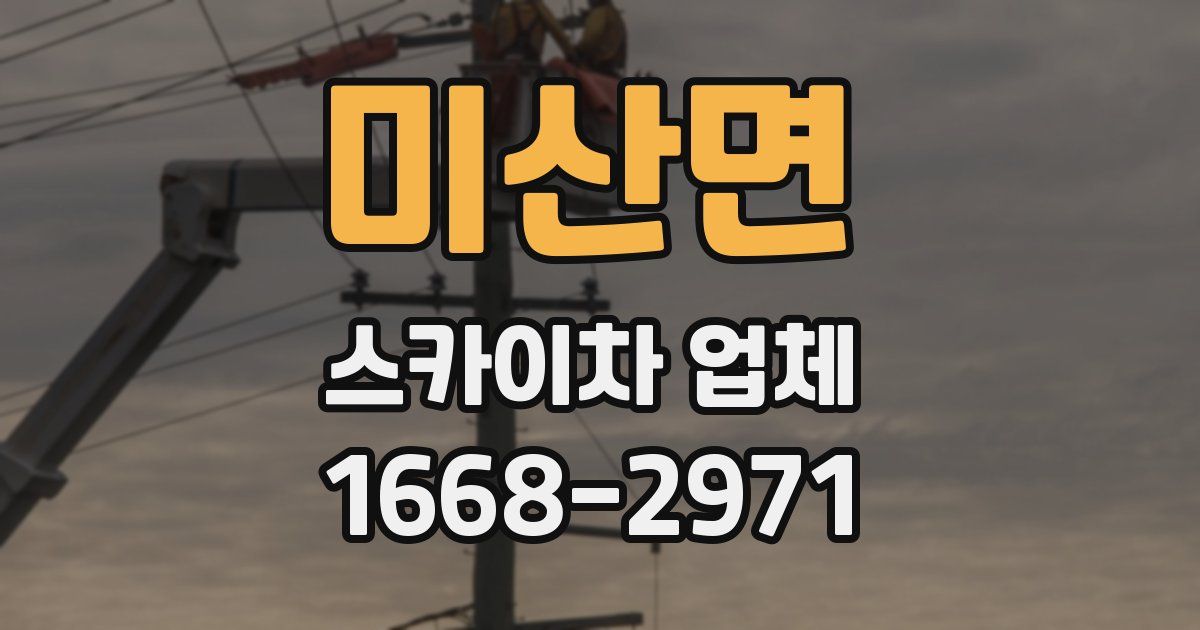 미산면 스카이차 업체