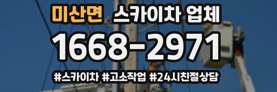 미산면 스카이차 업체