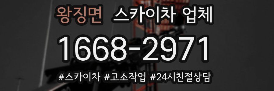 왕징면 스카이차 업체