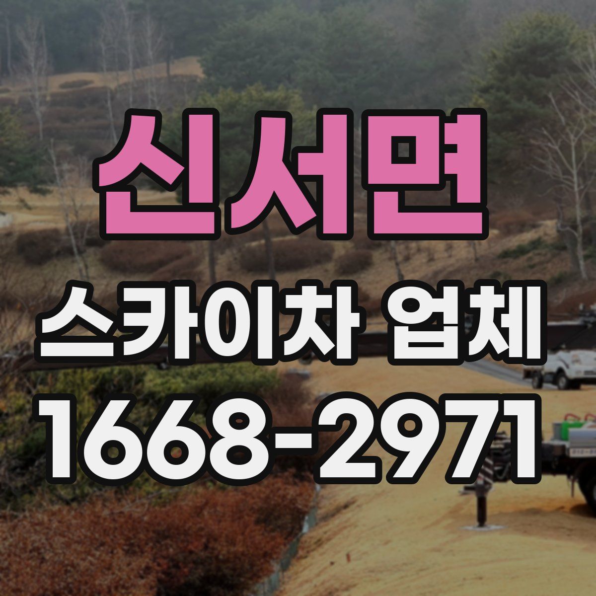 신서면 스카이차 업체