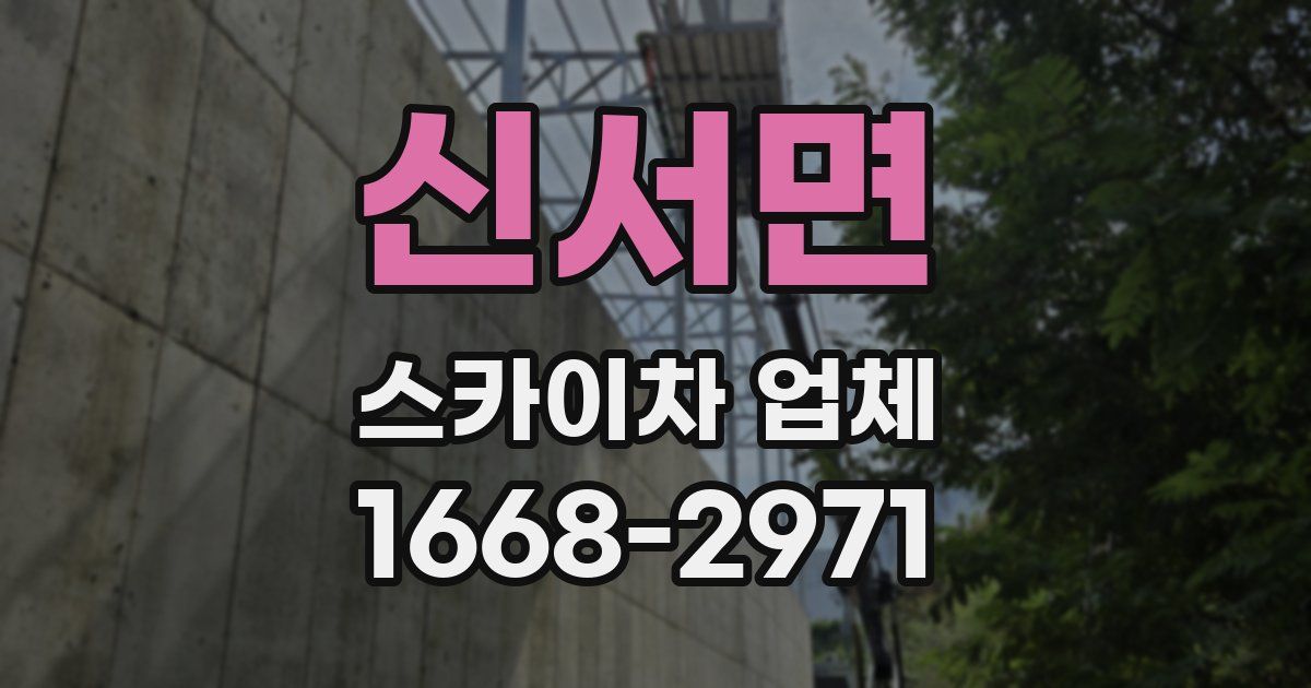 신서면 스카이차 업체