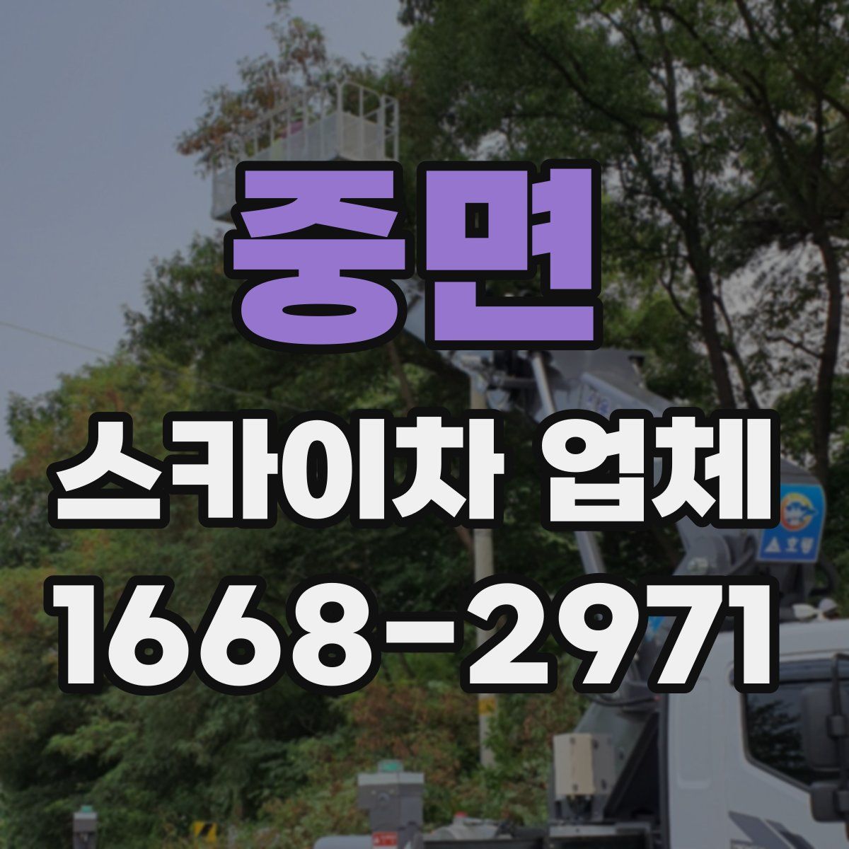 중면 스카이차 업체