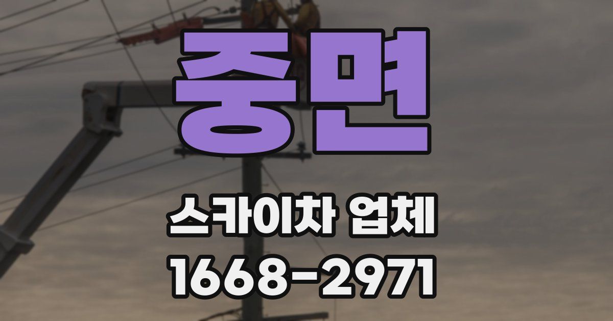 중면 스카이차 업체