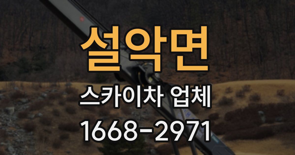 설악면 스카이차 업체