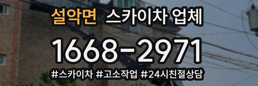 설악면 스카이차 업체