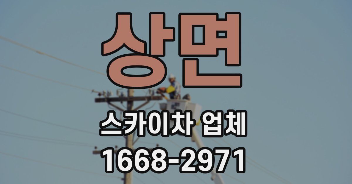 상면 스카이차 업체
