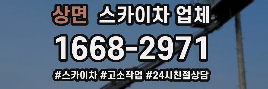 상면 스카이차 업체