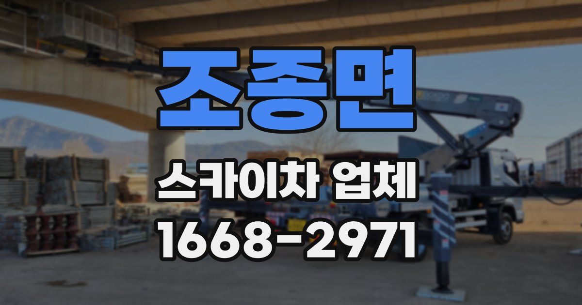 조종면 스카이차 업체