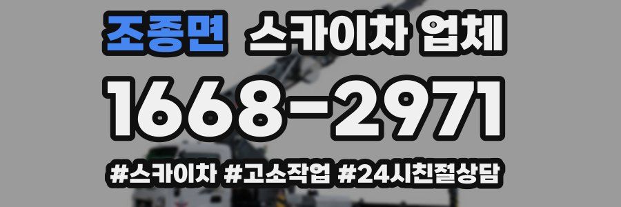 조종면 스카이차 업체