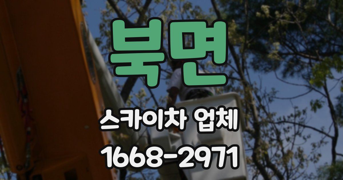북면 스카이차 업체