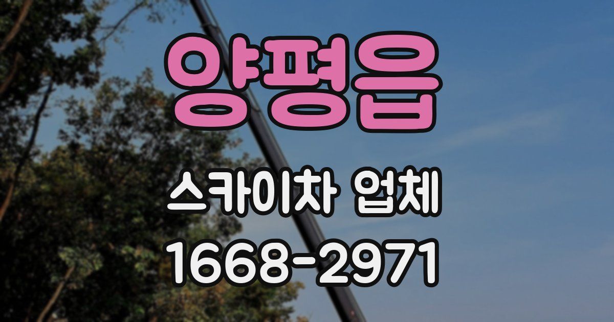 양평읍 스카이차 업체