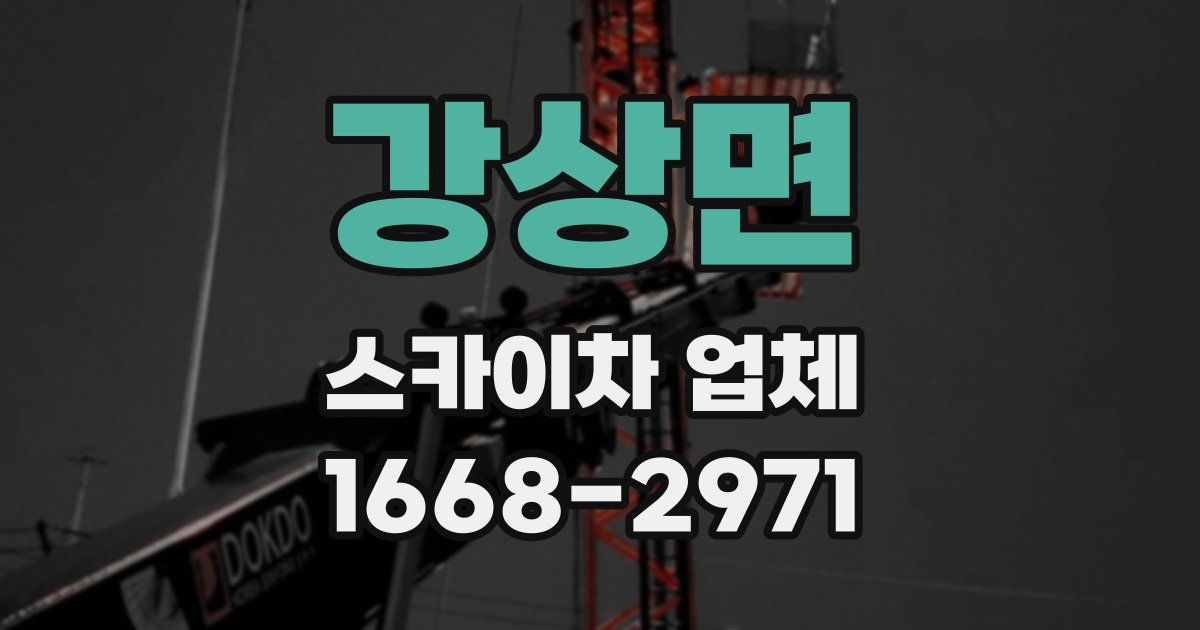 강상면 스카이차 업체