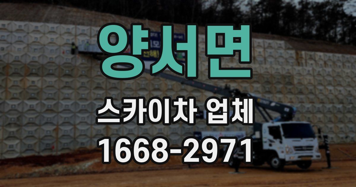 양서면 스카이차 업체