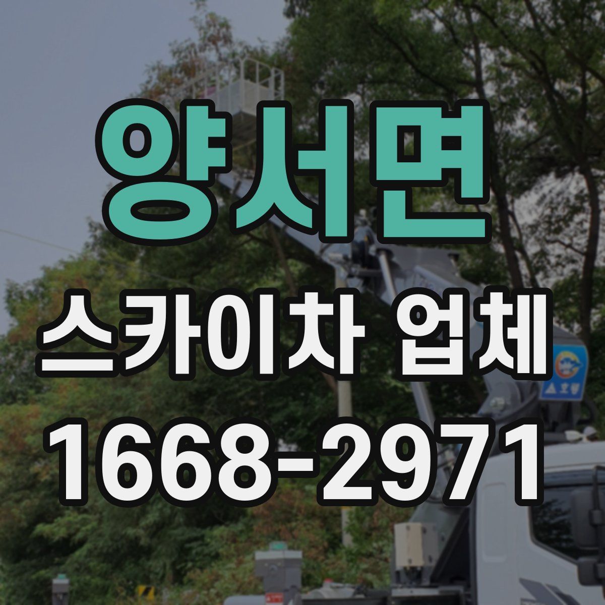 양서면 스카이차 업체