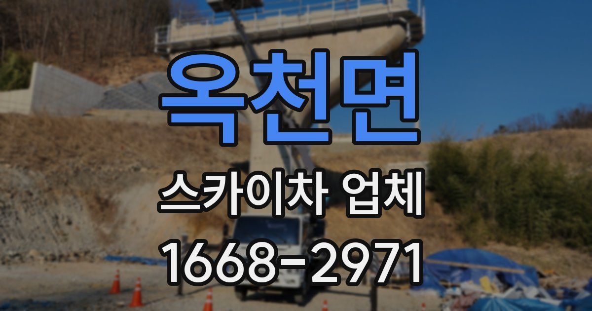 옥천면 스카이차 업체