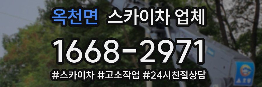 옥천면 스카이차 업체