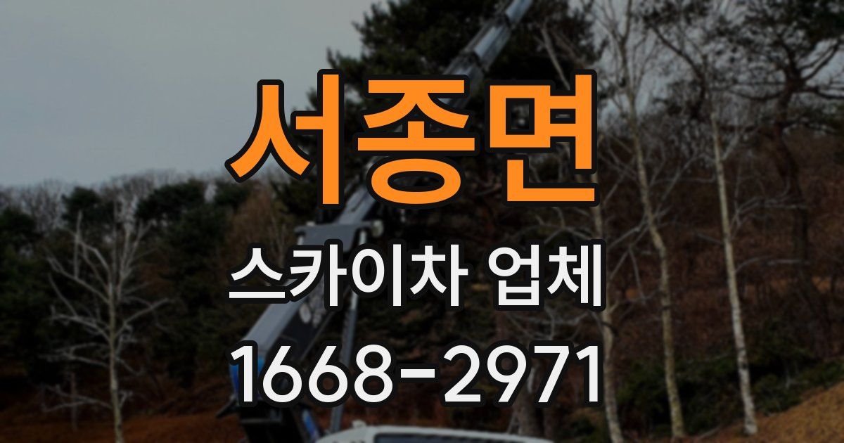 서종면 스카이차 업체