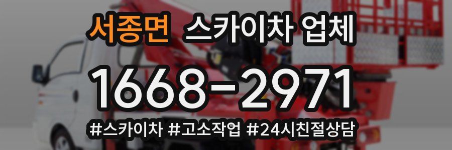 서종면 스카이차 업체