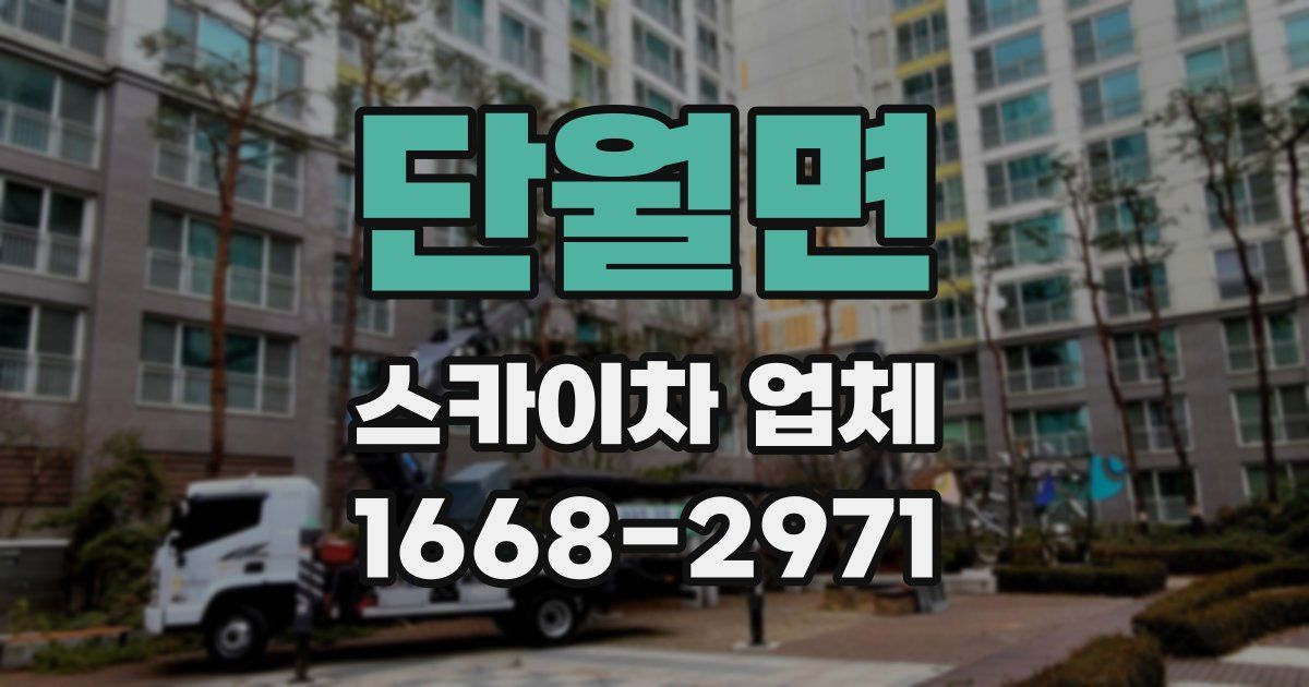 단월면 스카이차 업체