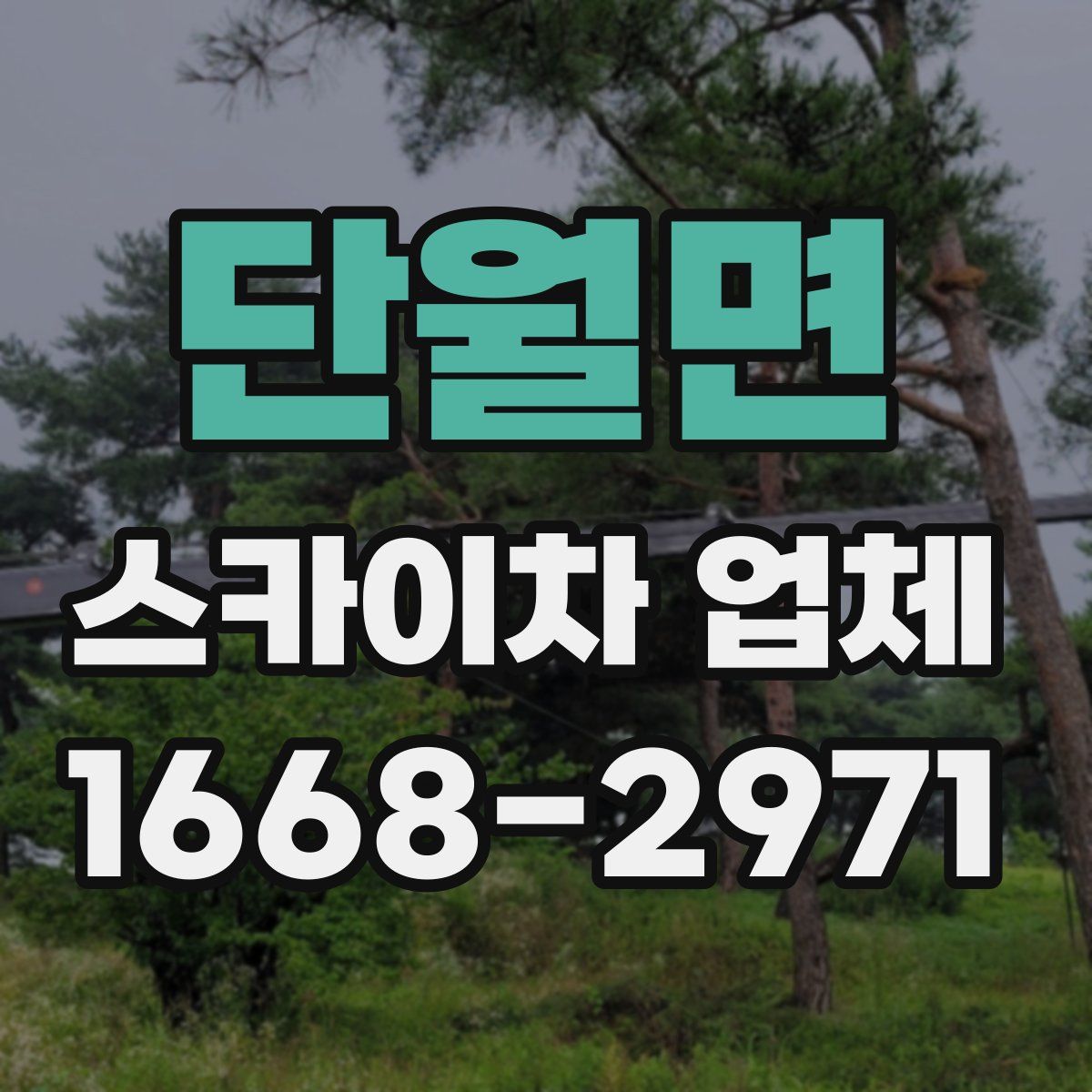 단월면 스카이차 업체
