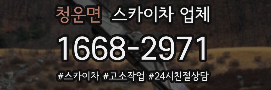 청운면 스카이차 업체