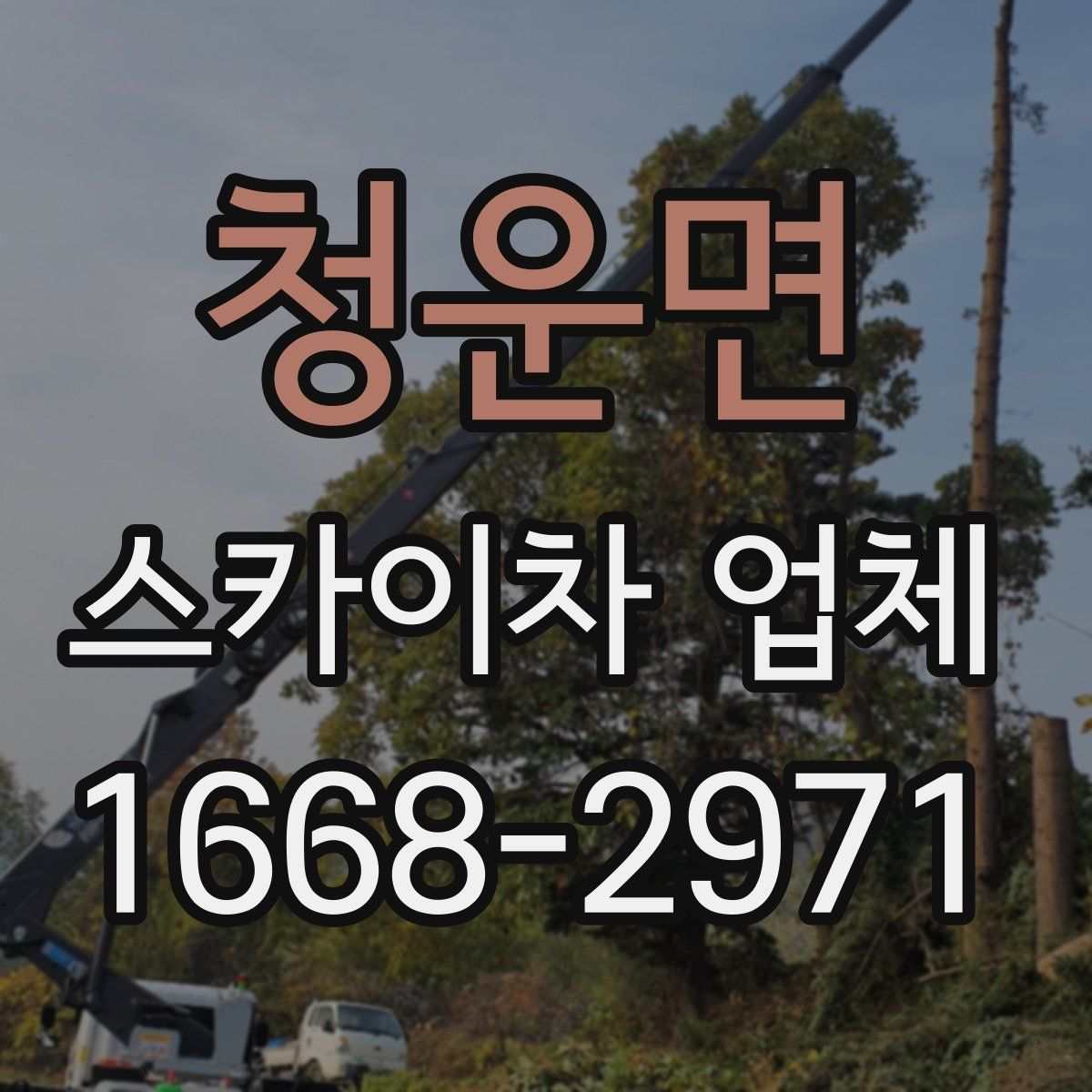 청운면 스카이차 업체