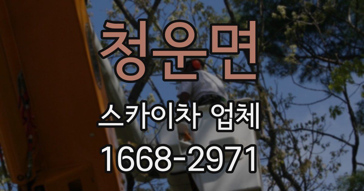 청운면 스카이차 업체
