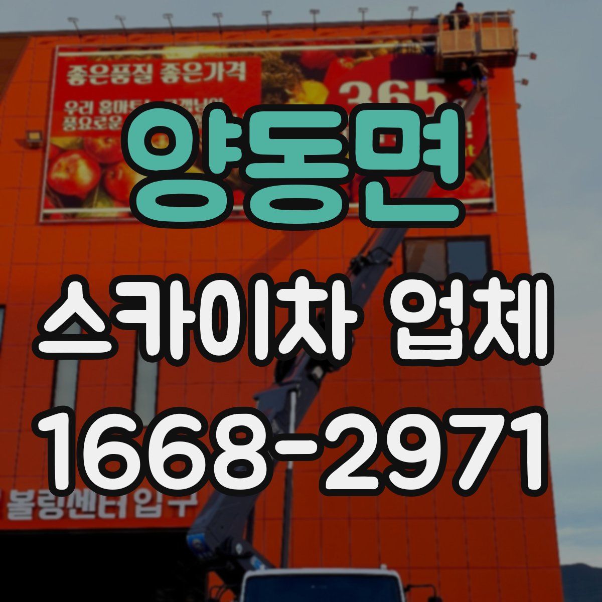 양동면 스카이차 업체
