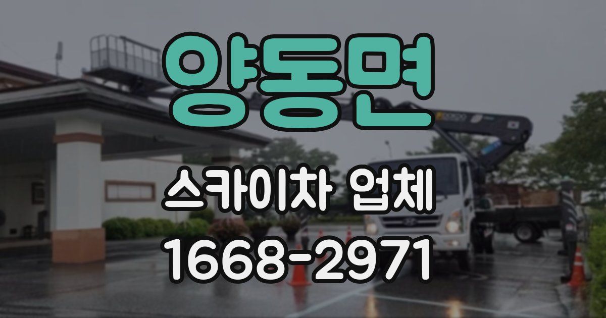 양동면 스카이차 업체