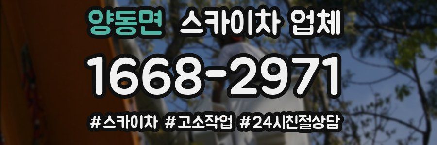 양동면 스카이차 업체