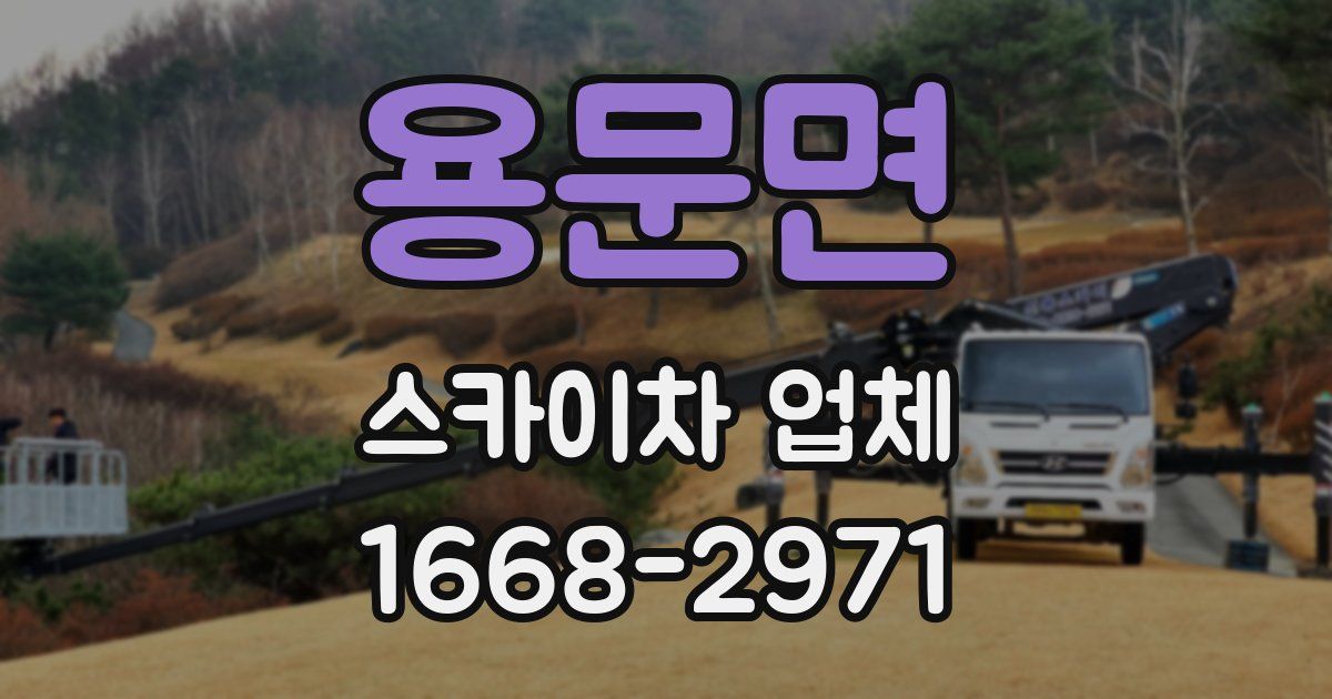 용문면 스카이차 업체