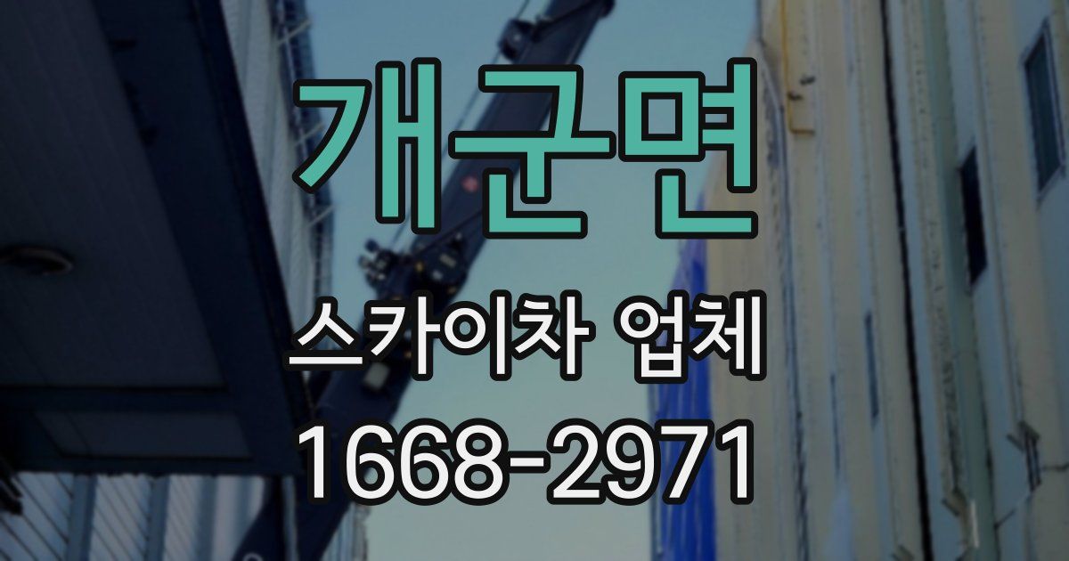 개군면 스카이차 업체