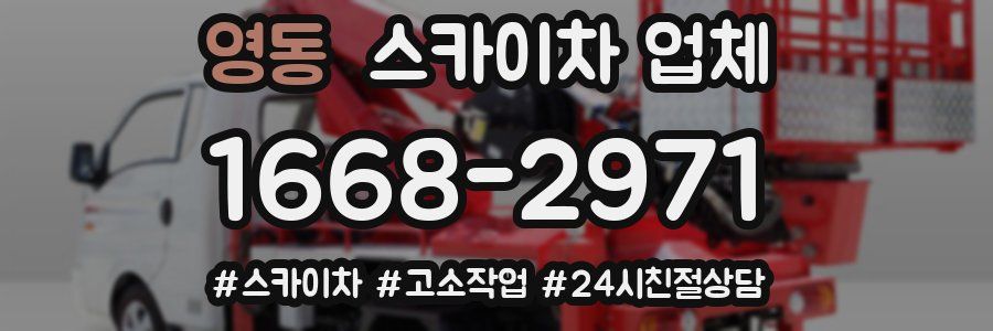 영동 스카이차 업체