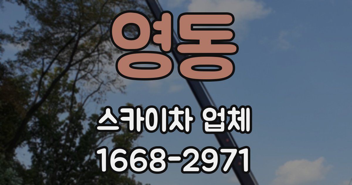 영동 스카이차 업체