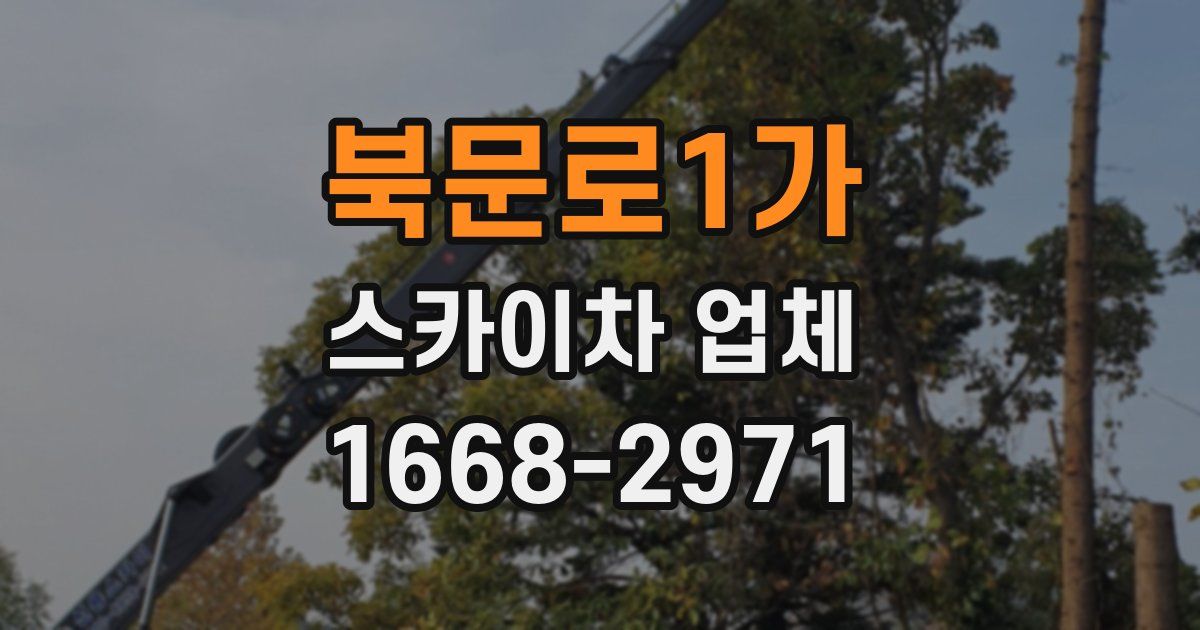 북문로1가 스카이차 업체