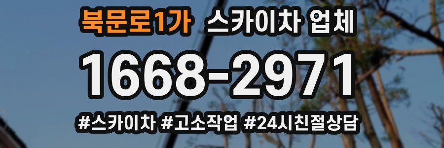 북문로1가 스카이차 업체