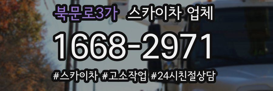 북문로3가 스카이차 업체