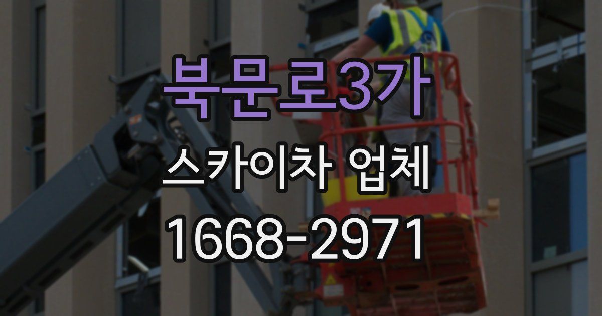 북문로3가 스카이차 업체