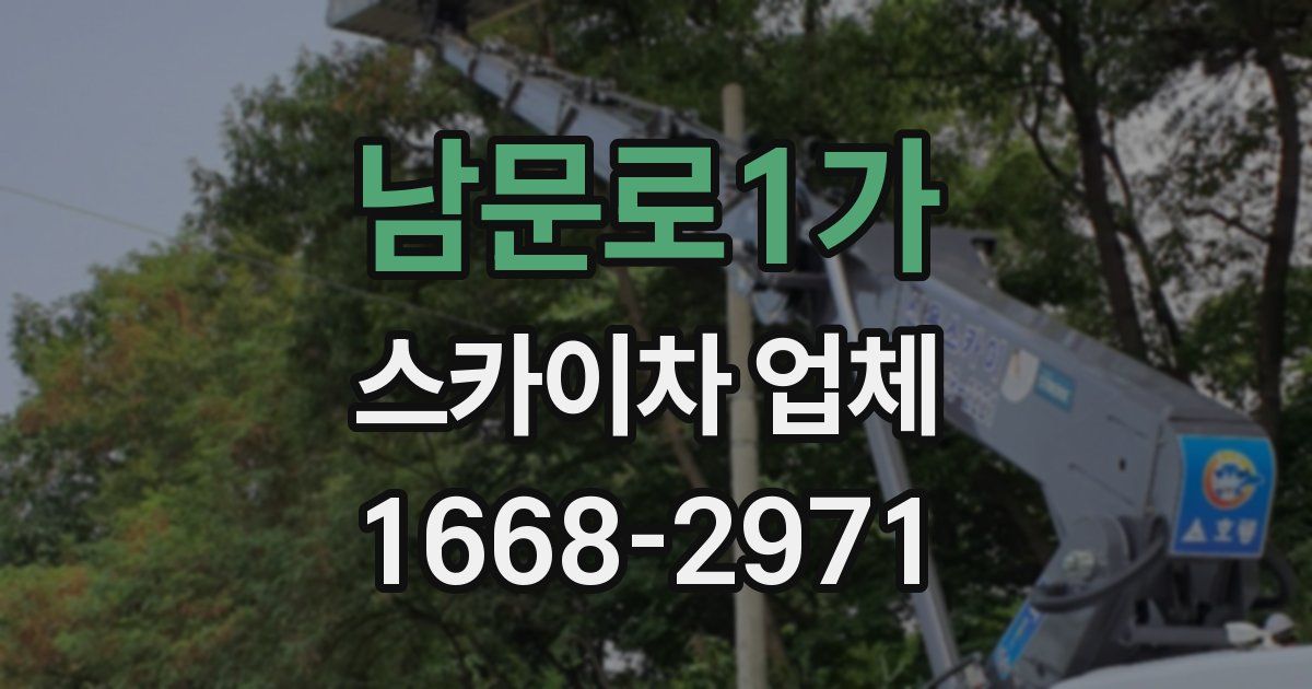 남문로1가 스카이차 업체