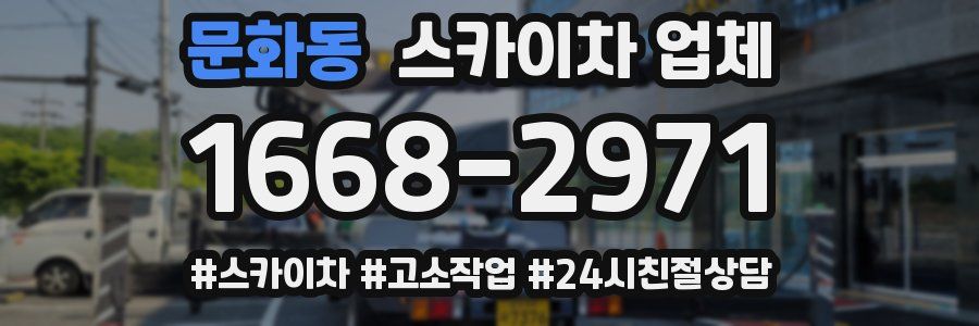 문화동 스카이차 업체