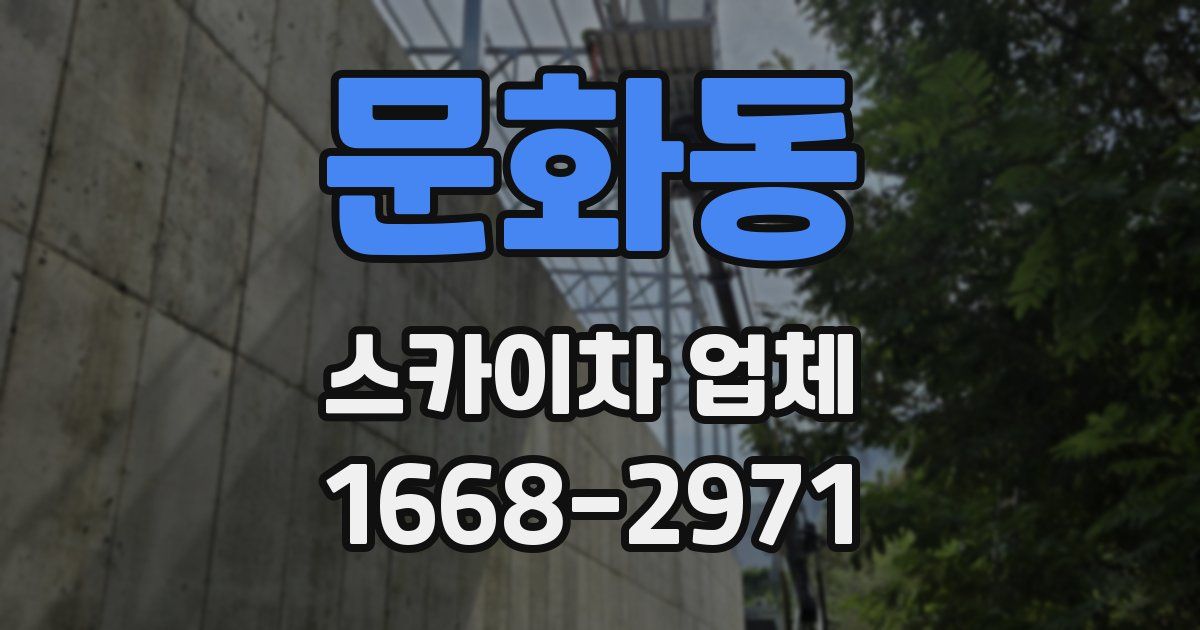 문화동 스카이차 업체