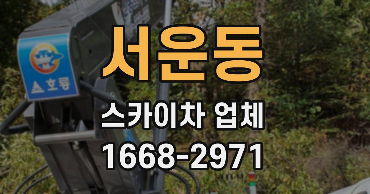 서운동 스카이차 업체