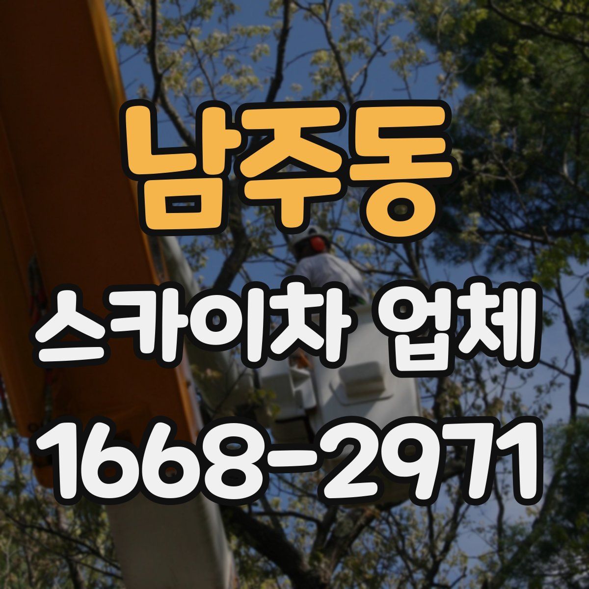 남주동 스카이차 업체