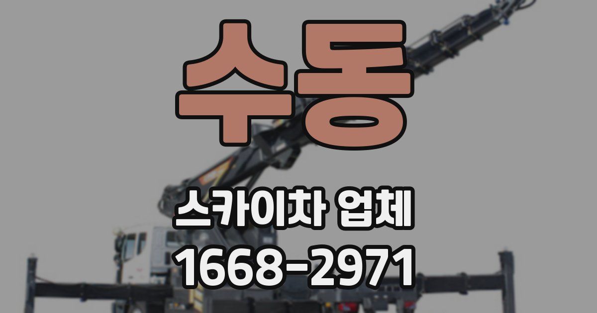 수동 스카이차 업체