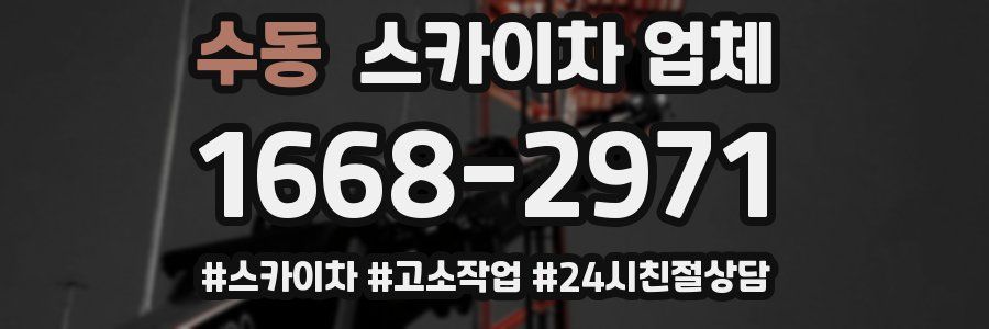 수동 스카이차 업체