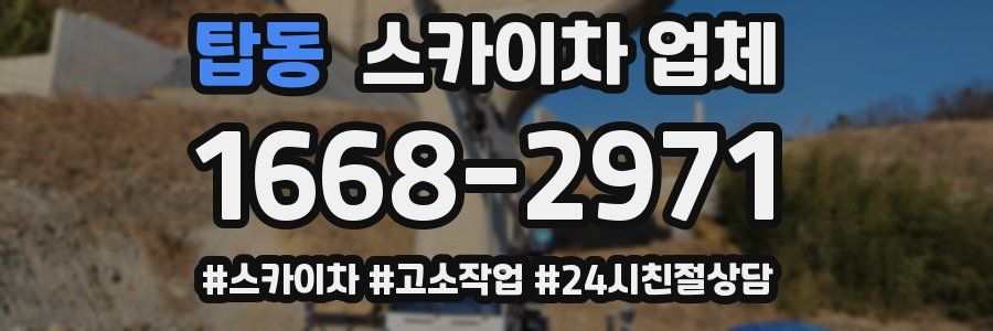 탑동 스카이차 업체