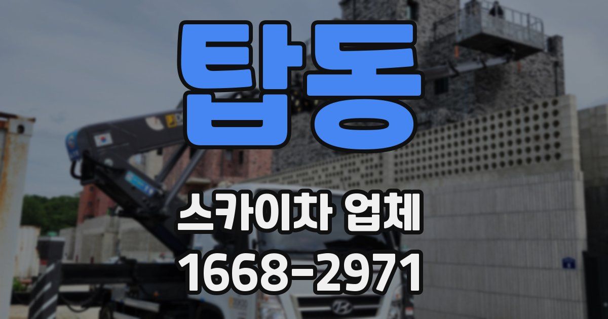 탑동 스카이차 업체