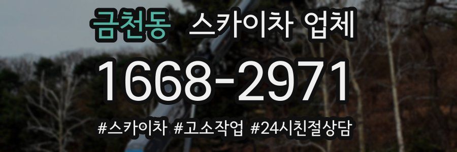금천동 스카이차 업체