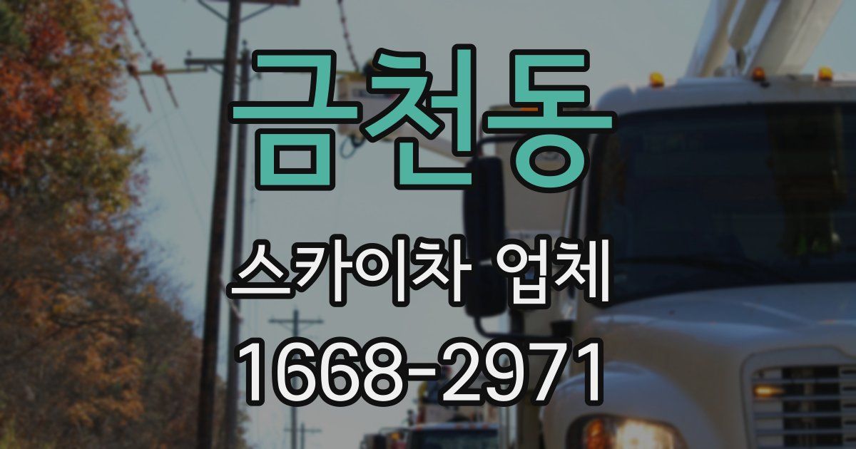 금천동 스카이차 업체