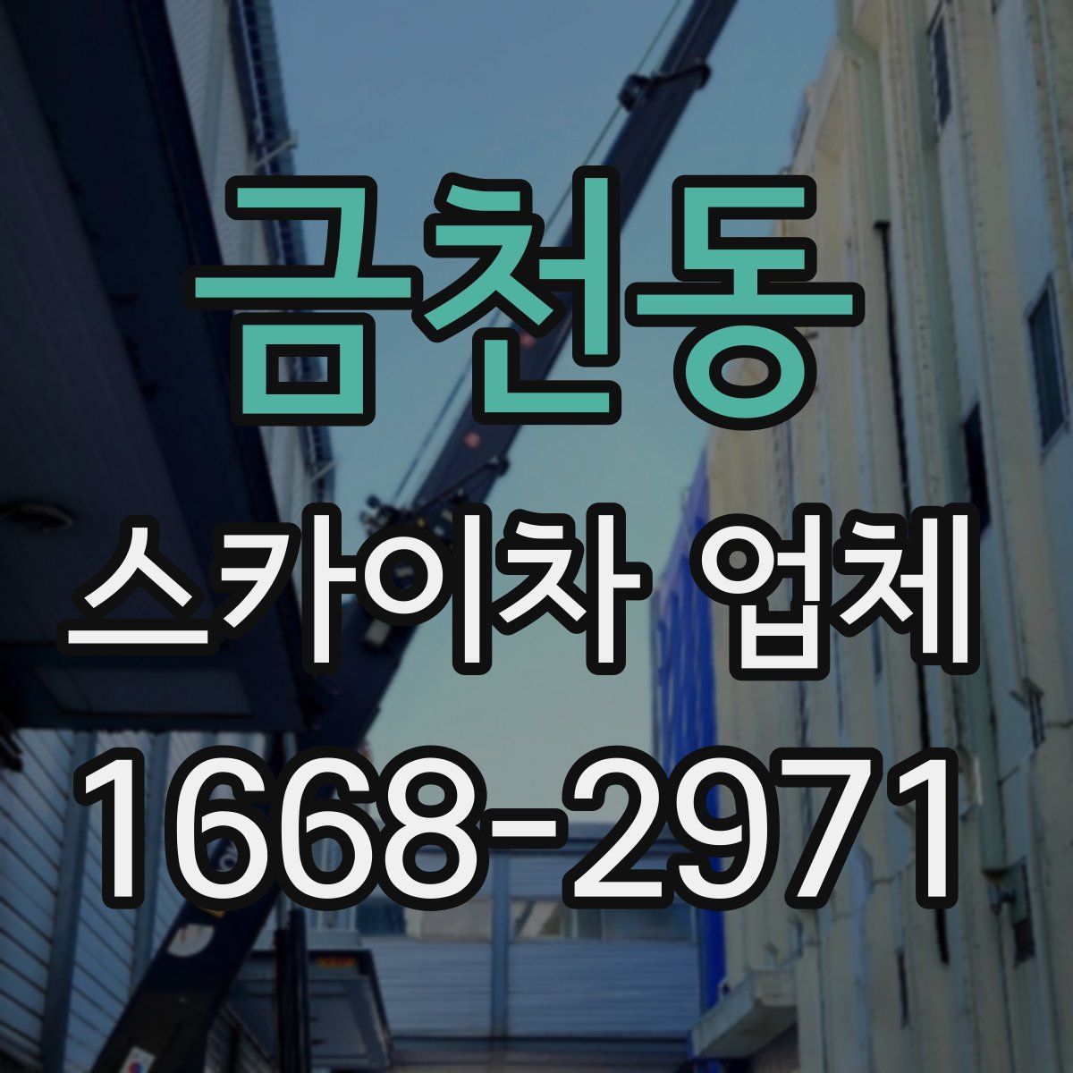 금천동 스카이차 업체